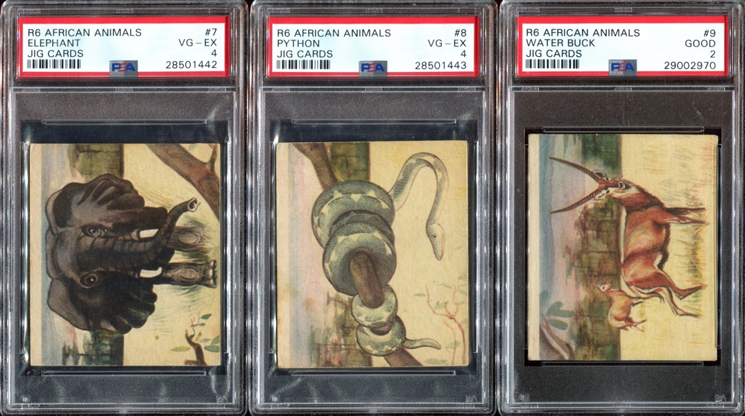 R6 National Licorice African Animal Jig Complete (24) Card PSA-Graded Set - Currently #4