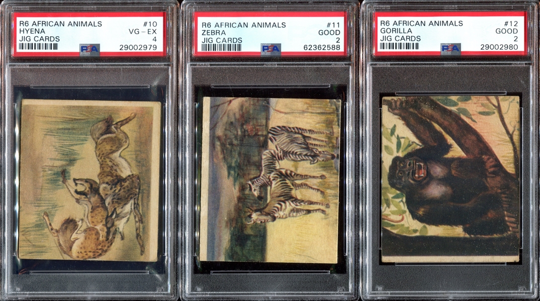 R6 National Licorice African Animal Jig Complete (24) Card PSA-Graded Set - Currently #4