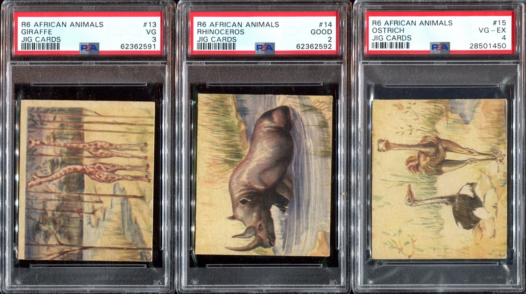 R6 National Licorice African Animal Jig Complete (24) Card PSA-Graded Set - Currently #4