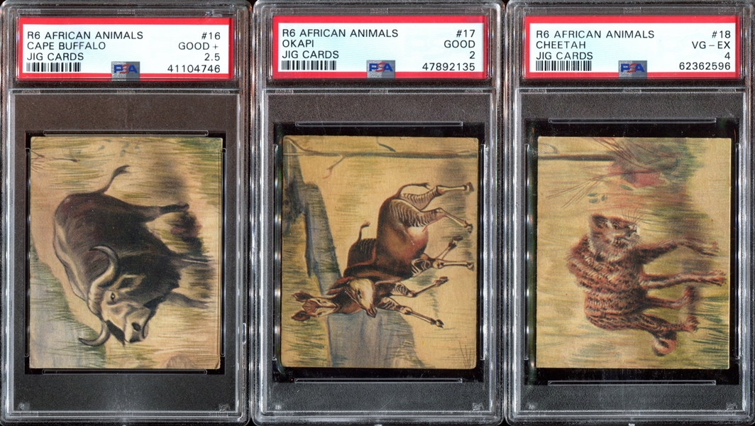 R6 National Licorice African Animal Jig Complete (24) Card PSA-Graded Set - Currently #4