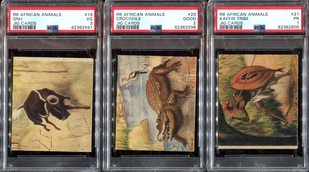 R6 National Licorice African Animal Jig Complete (24) Card PSA-Graded Set - Currently #4