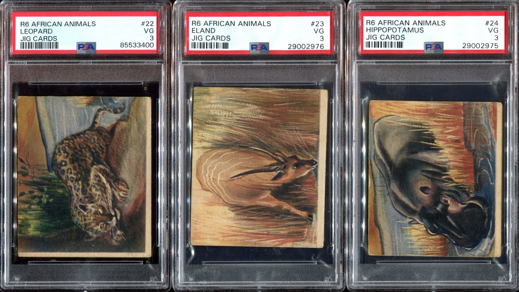 R6 National Licorice African Animal Jig Complete (24) Card PSA-Graded Set - Currently #4