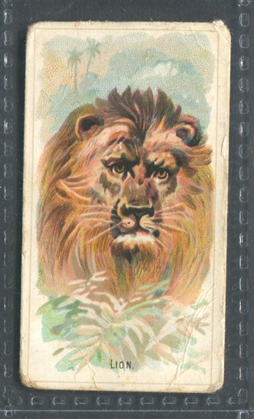 N-UNC Goodwin Wild Animals Lion Type Card