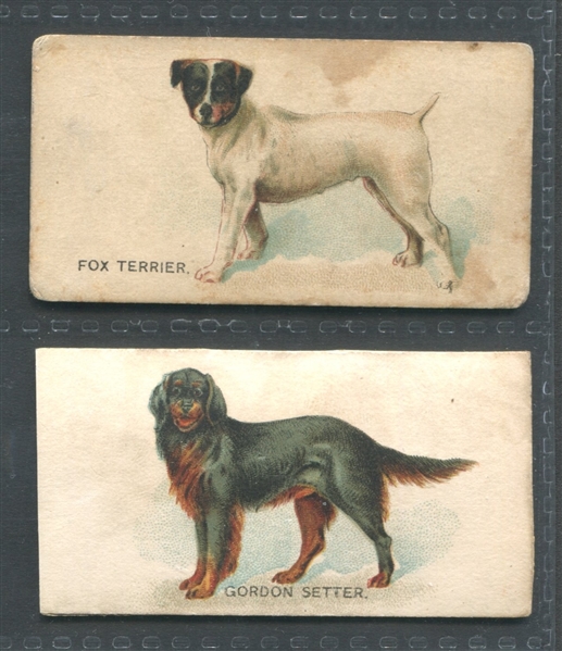 N163 Goodwin Dogs of the World Lot of (2) Cards