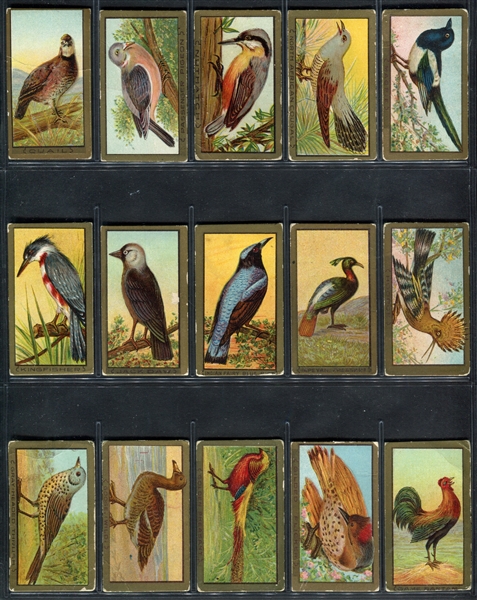 T42 Bird Series Near Complete Set of (96/100) Cards