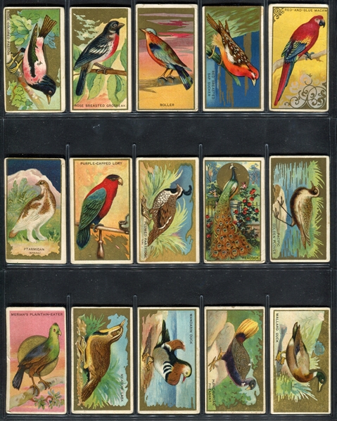 T42 Bird Series Near Complete Set of (96/100) Cards