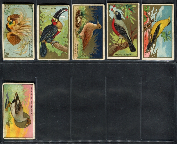 T42 Bird Series Near Complete Set of (96/100) Cards