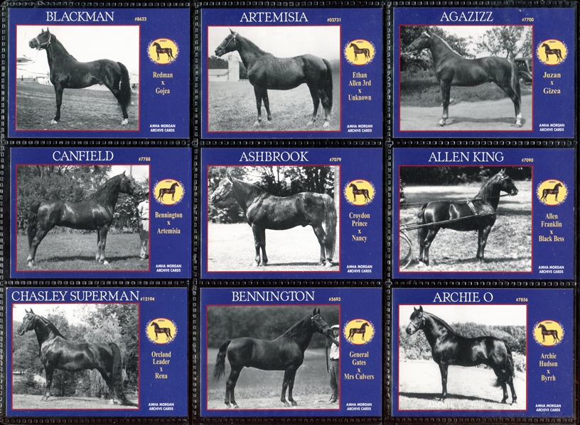 1994 AMHA Morgan Archive Thoroughbred Horses Complete Set of (150) Cards