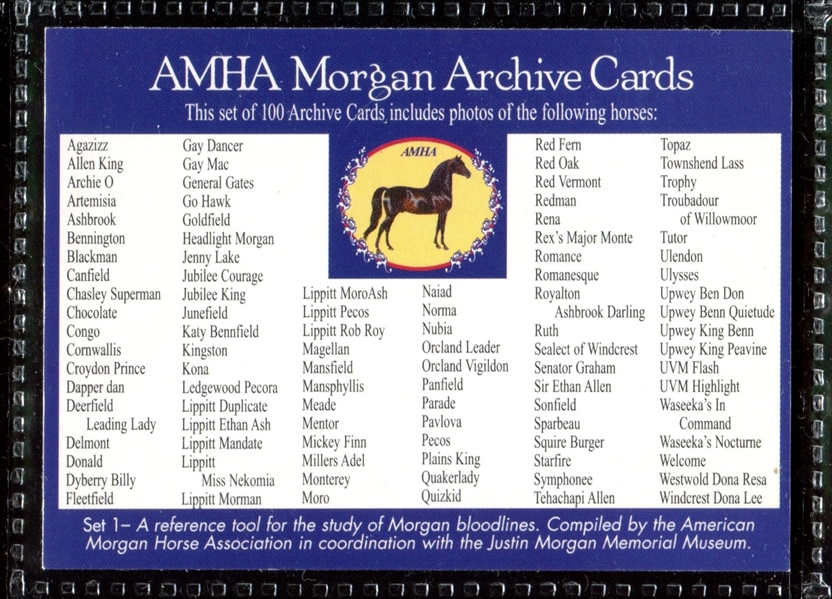 1994 AMHA Morgan Archive Thoroughbred Horses Complete Set of (150) Cards