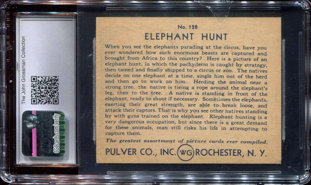 R108 Pulver Pictures #128 Elephant Hunt CGC5.5 EX+