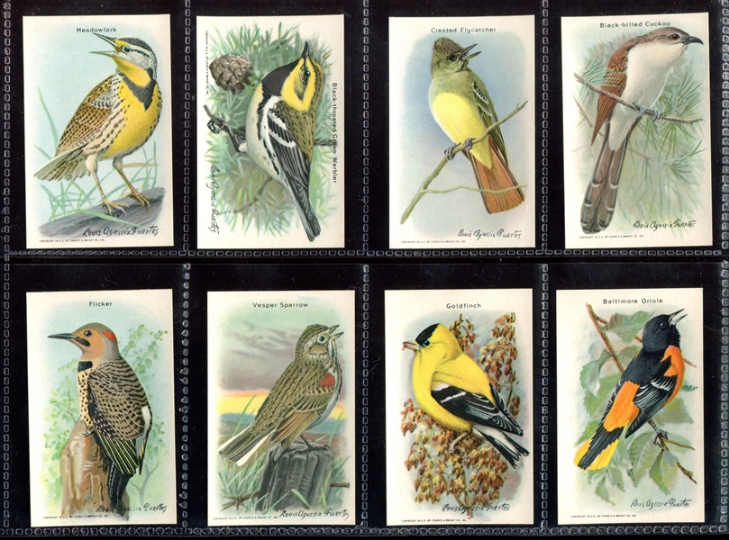 J9-6 Church & Dwight Arm & Hammer Useful Birds (10th Series) Complete Set of (15) Cards