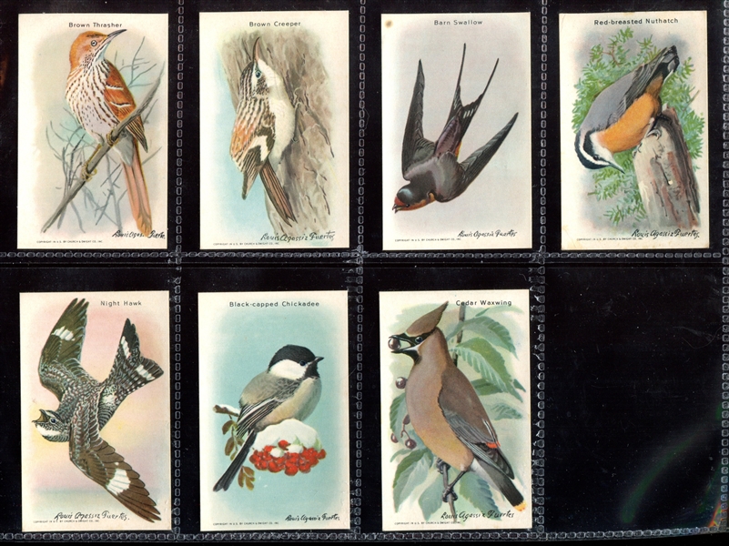 J9-6 Church & Dwight Arm & Hammer Useful Birds (10th Series) Complete Set of (15) Cards