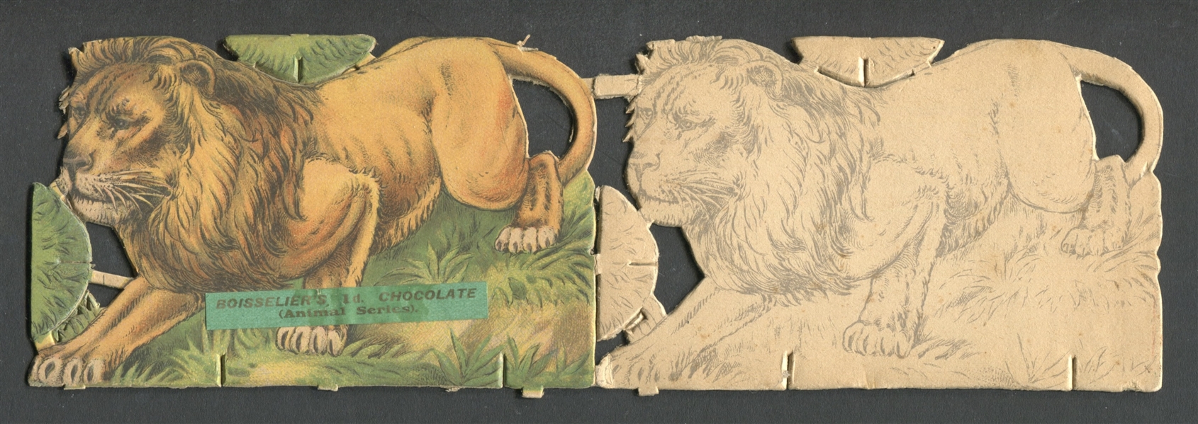 Fantastic 1920's Boisselier's Chocolate (UK) Animal Series Lion Die Cut Premium