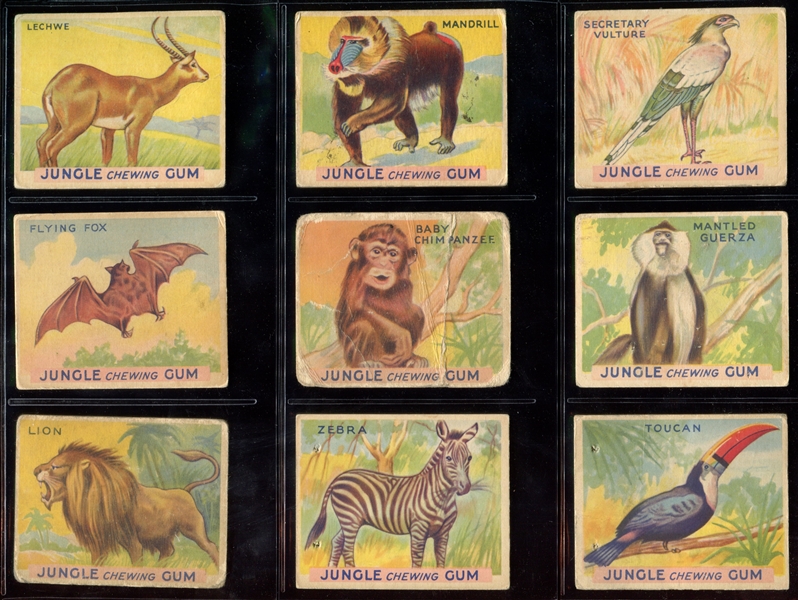 R78 Goudey Gum Jungle Gum Lot of (33) Different Cards