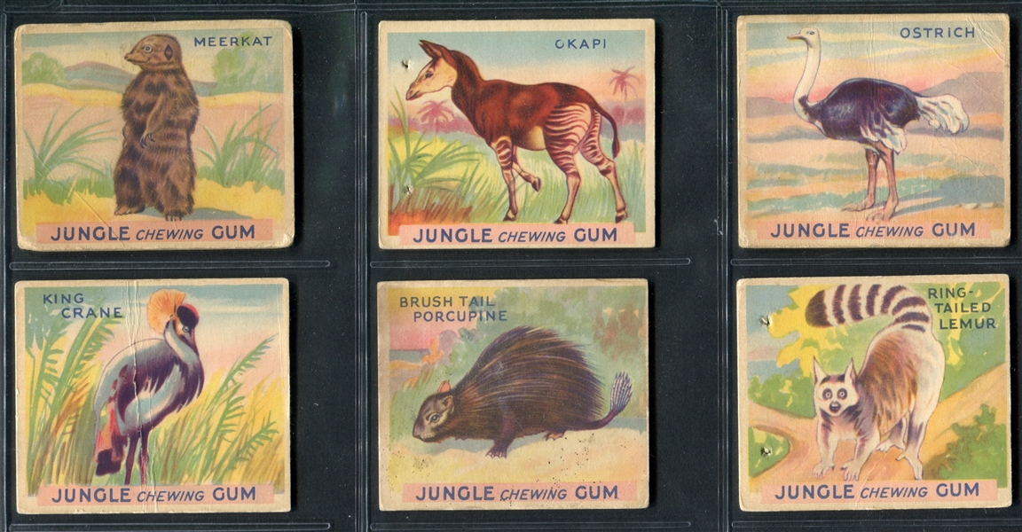 R78 Goudey Gum Jungle Gum Lot of (33) Different Cards