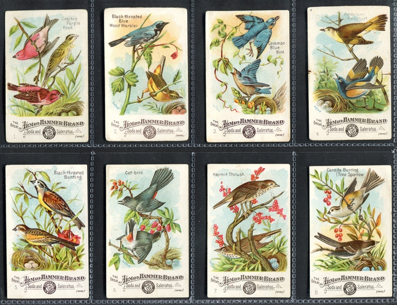 J1 Beautiful Birds Near Complete Set of (53/60) Cards