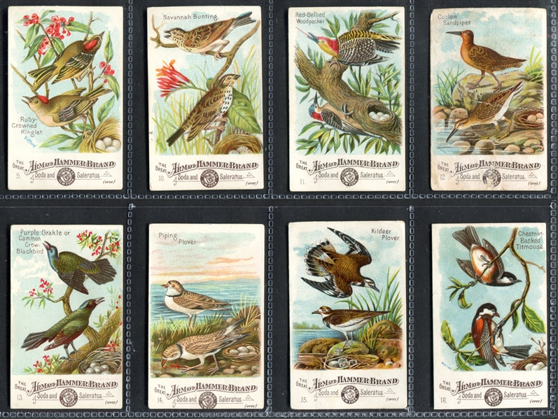 J1 Beautiful Birds Near Complete Set of (53/60) Cards