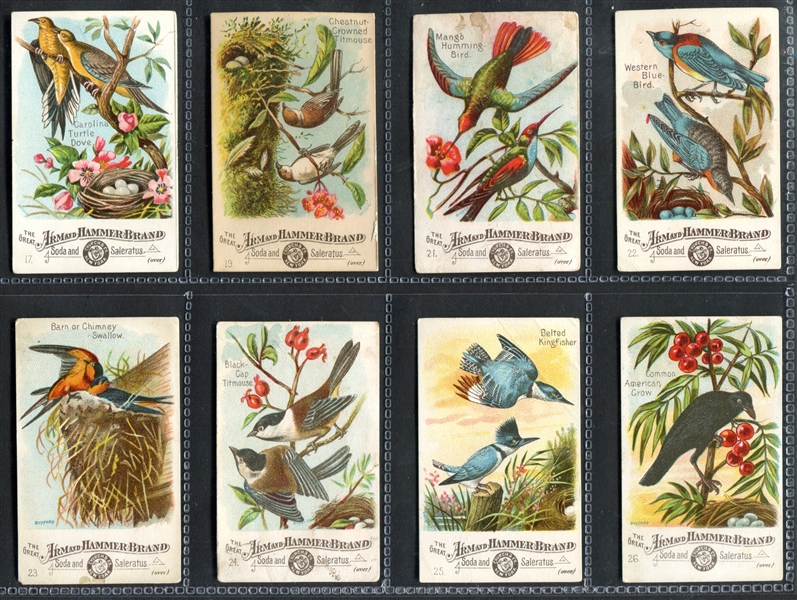 J1 Beautiful Birds Near Complete Set of (53/60) Cards