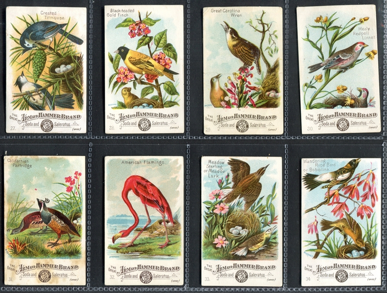 J1 Beautiful Birds Near Complete Set of (53/60) Cards