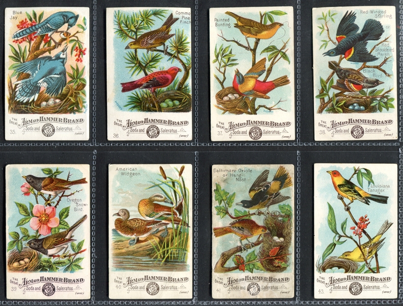 J1 Beautiful Birds Near Complete Set of (53/60) Cards