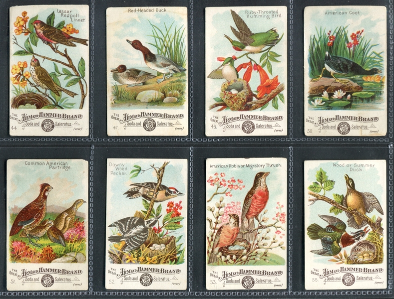 J1 Beautiful Birds Near Complete Set of (53/60) Cards