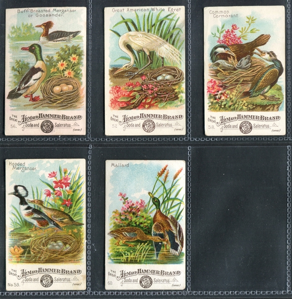 J1 Beautiful Birds Near Complete Set of (53/60) Cards