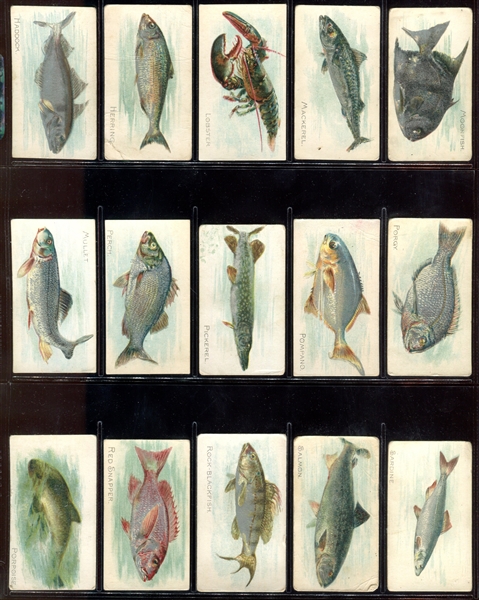 T58 Fish Series Complete Mixed-Back Set of (100) Cards