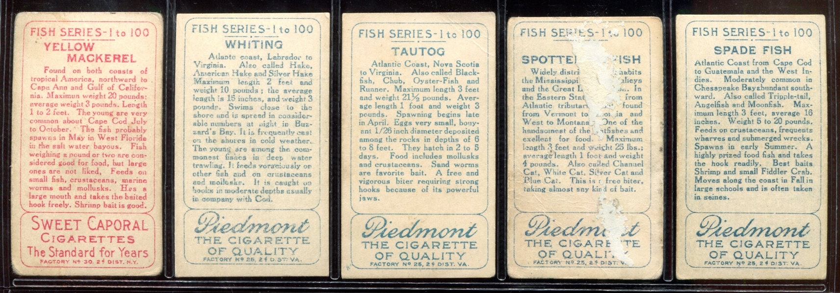 T58 Fish Series Complete Mixed-Back Set of (100) Cards