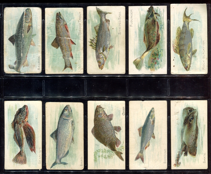 T58 Fish Series Piedmont Backed Lot of (17) Cards