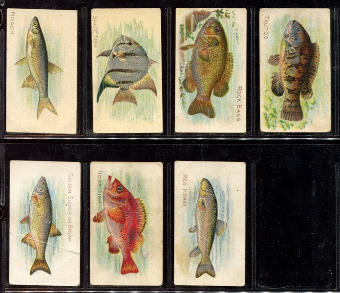 T58 Fish Series Piedmont Backed Lot of (17) Cards