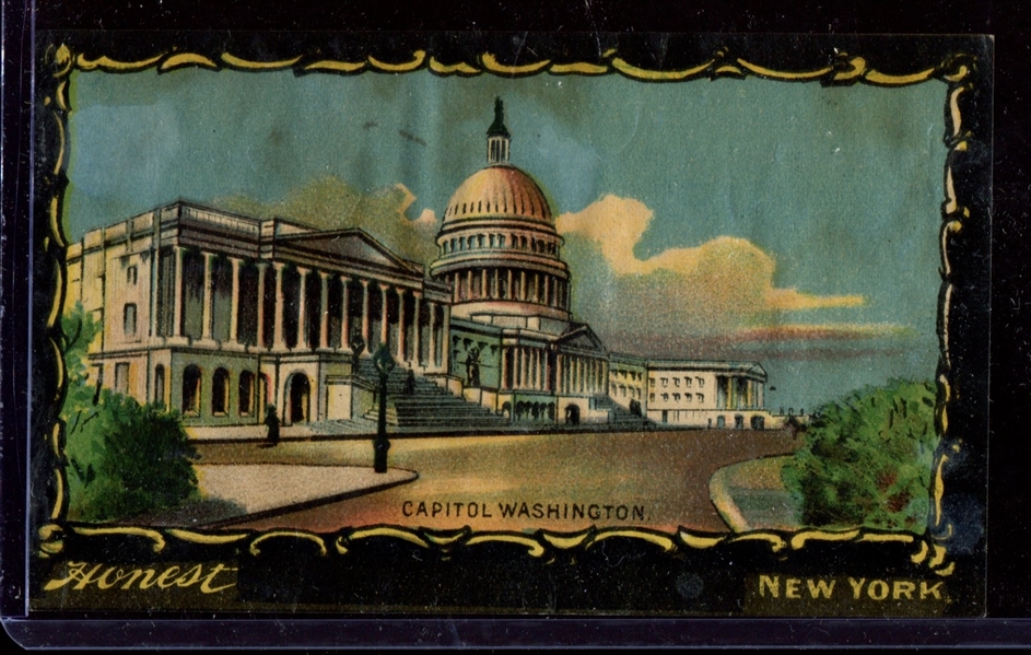 N137 Duke Honest Long Cut Transparencies - Capitol Washington