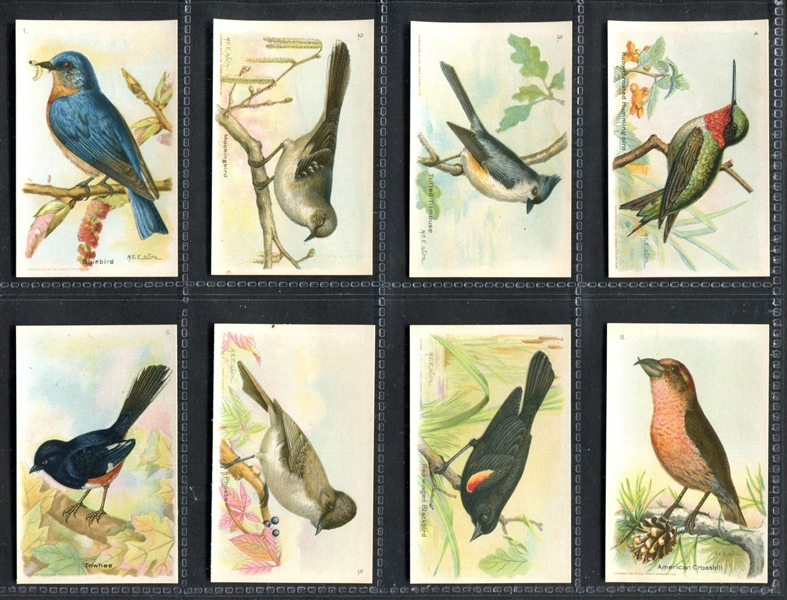 J9-3 Arm & Hammer Useful Birds (Seventh Series) Complete Set of (15) Cards