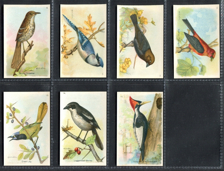 J9-3 Arm & Hammer Useful Birds (Seventh Series) Complete Set of (15) Cards