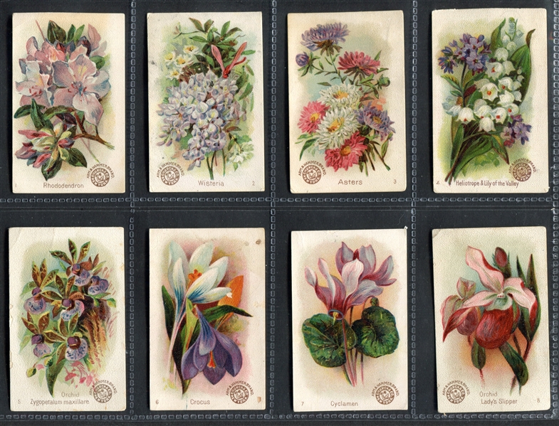 J16 Arm & Hammer Beautiful Flowers Complete Set of (60) Cards