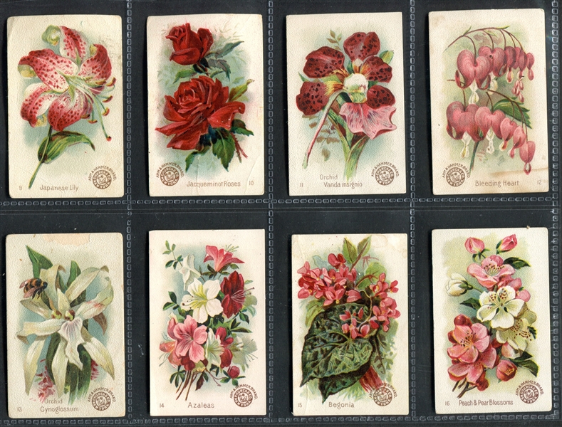 J16 Arm & Hammer Beautiful Flowers Complete Set of (60) Cards