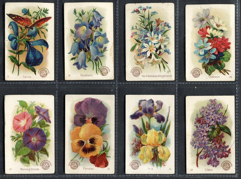 J16 Arm & Hammer Beautiful Flowers Complete Set of (60) Cards