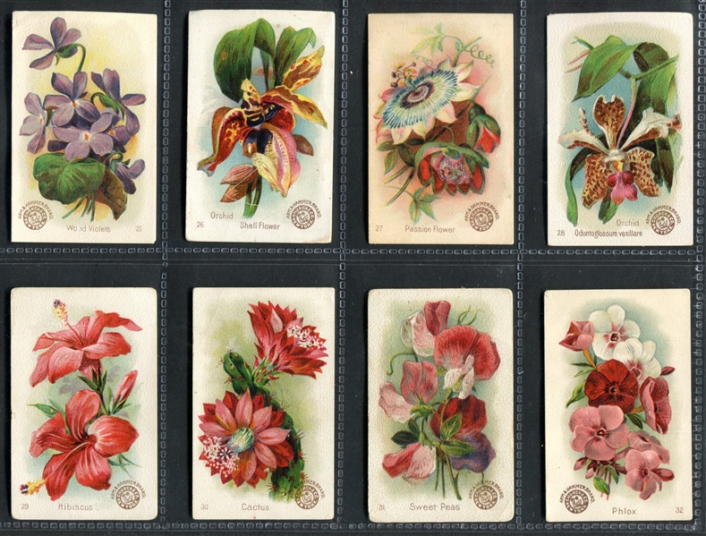 J16 Arm & Hammer Beautiful Flowers Complete Set of (60) Cards