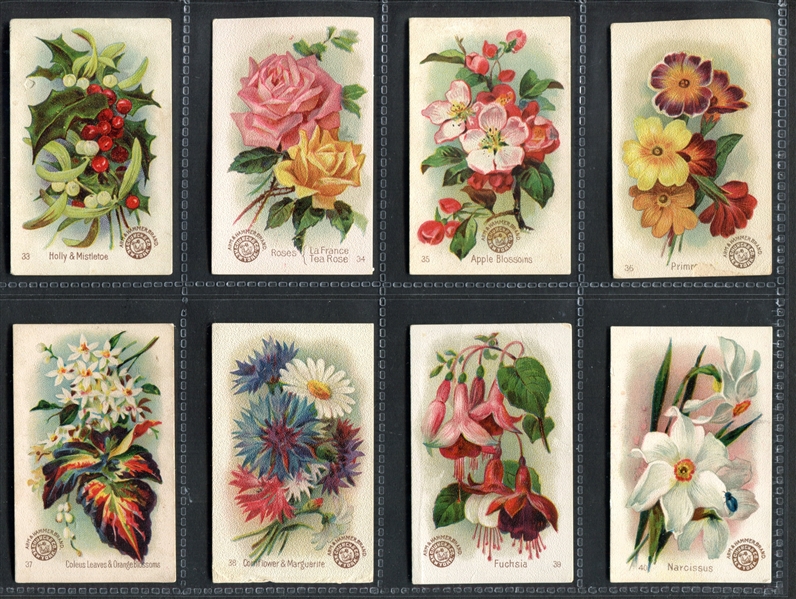 J16 Arm & Hammer Beautiful Flowers Complete Set of (60) Cards