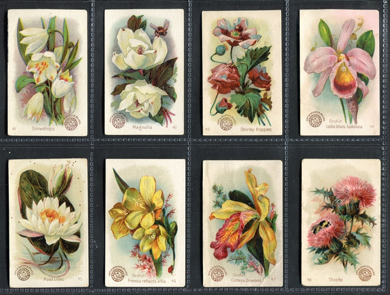 J16 Arm & Hammer Beautiful Flowers Complete Set of (60) Cards