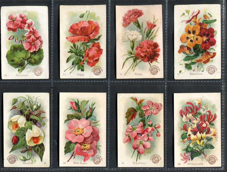 J16 Arm & Hammer Beautiful Flowers Complete Set of (60) Cards