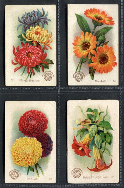 J16 Arm & Hammer Beautiful Flowers Complete Set of (60) Cards