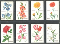 F213-4 Coca Cola "Wild Flowers of America" Complete Set of (20) Cards