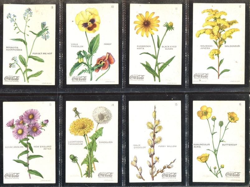 F213-4 Coca Cola Wild Flowers of America Complete Set of (20) Cards