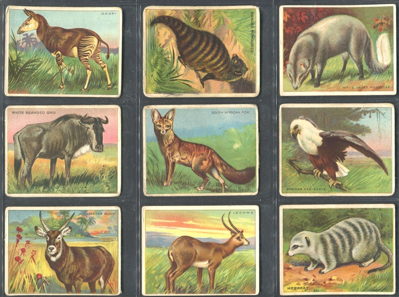 T29 Hassan Animal Series Lot of (87) Cards