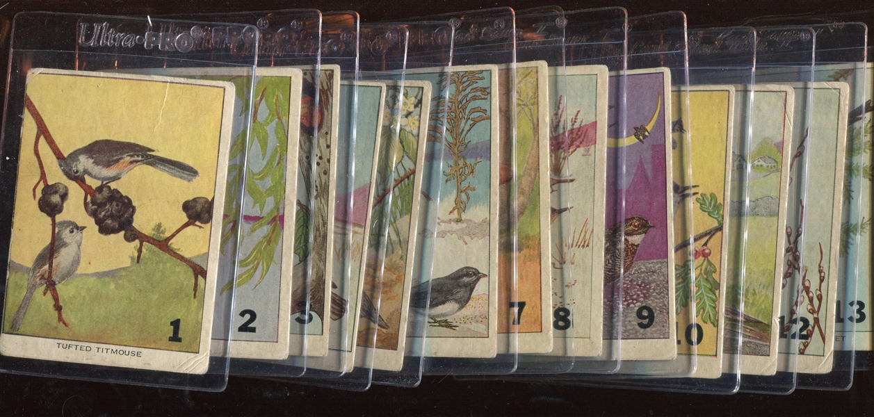 1930's Unbranded North American Bird Near Set of (50/54) Cards