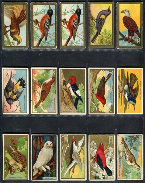 T42 Bird Series Near Complete Set of (96/100) Cards