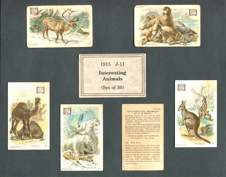 Fantastic Church & Dwight Arm & Hammer Typecard Samples For All Sets (24)