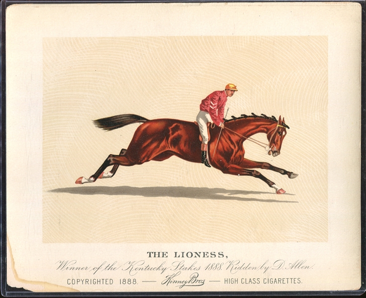 N239 Kinney Cigarettes Racehorses Premium The Lioness 