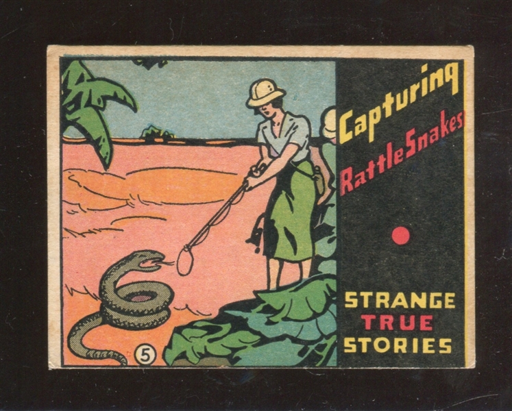 R144 Wolverine Gum Strange True Stories #5 Capturing Rattle Snakes