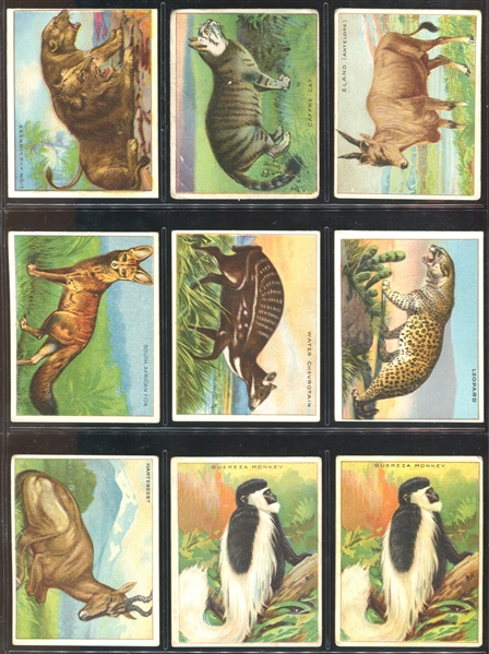 T29 Hassan Animals Lot of (22) Cards